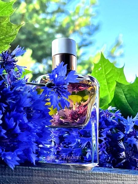 Hermes Jour d'Hermes Absolu Eau de Parfum 85ml zdjęcie 14