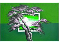 OBRAZ GREEN SUNSET NATURA