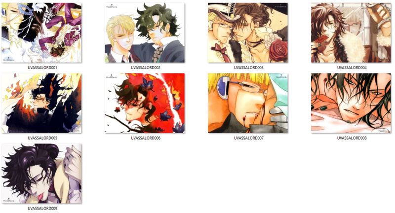 Poduszka Vassalord DO WYBORU zdjęcie 2