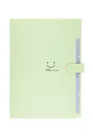 Teczka Plastikowa A4 Z 5 Przegródkami Zielona