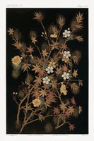 Plakat 30x45cm Japońskie Jesienne Kwiaty, G.A. Audsley do Salonu