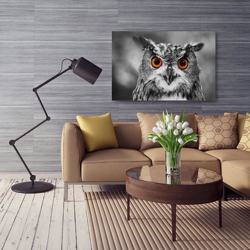 Obraz na płótnie - Canvas, Sowa 2 50x70 na Arena.pl