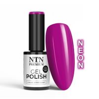 Lakier hybrydowy NTN Premium Design Your Style Collection 5g Nr 41