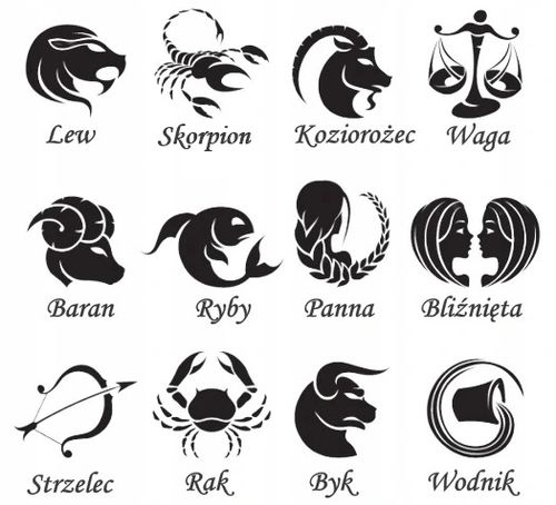 SREBRNY PEŁNY ŁAŃCUSZEK MĘSKI FIGARO NIEŚMIERTELNIK PR. 925 + GRAWER GRATIS na Arena.pl