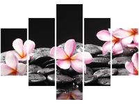 70 100CM OBRAZ 5 ELEM SPA DRUK PŁÓTNO