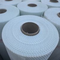 SIATKA Z WŁÓKNA SZKLANEGO PODTYNKOWA ELEWACYJNA ZBROJONA 160g 50m2 ATEST