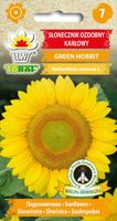 Słonecznik ozdobny karłowy GREEN HOBBIT nasiona 1 g.