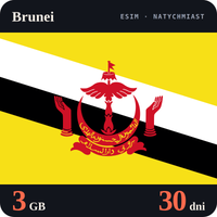 Karta eSIM Internet Brunei 3 GB na 30 dni - bez rejestracji