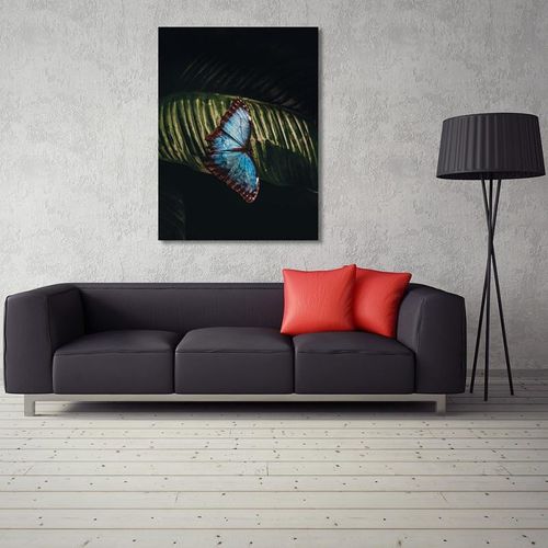 Deco Panel, Motyl na liściu 50x70 na Arena.pl