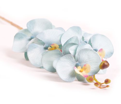 STORCZYK POJEDYNCZY na Arena.pl