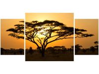 80X40CM AKACJA SERENGETI TRÓJ OBRAZ
