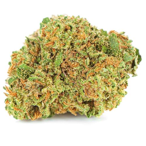 Susz konopny CBD  White Widow 10 g na Arena.pl