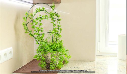 Podpora doniczkowa [2186] x 3 szt., ELGarden na Arena.pl