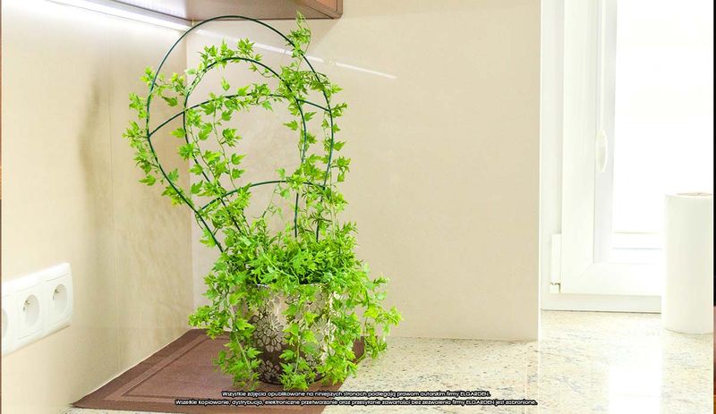 Podpora doniczkowa [2186] x 3 szt., ELGarden zdjęcie 5