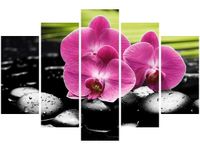 product-compare-58696528