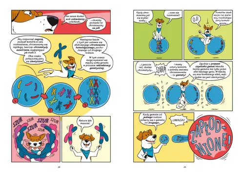 Psy - Od Drapieżników Do Obrońców na Arena.pl