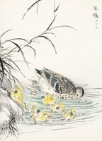 Plakat 20,5x28,4cm Duck, Kashu Japoński Vintage do Salonu