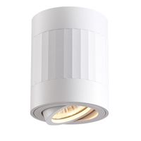 Natynkowa lampa ruchoma Rubin biały spot kierunkowy do kuchni paski