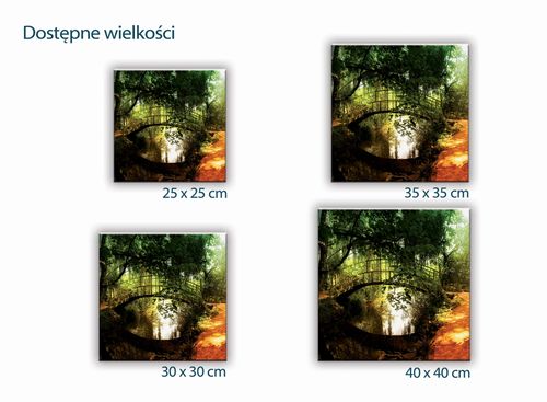 SZKLANA DESKA KUCHENNA 30x30 453f Most w lesie na Arena.pl