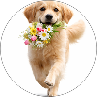 Opłatek na tort Pies Piesek Psy Kwiaty Róże