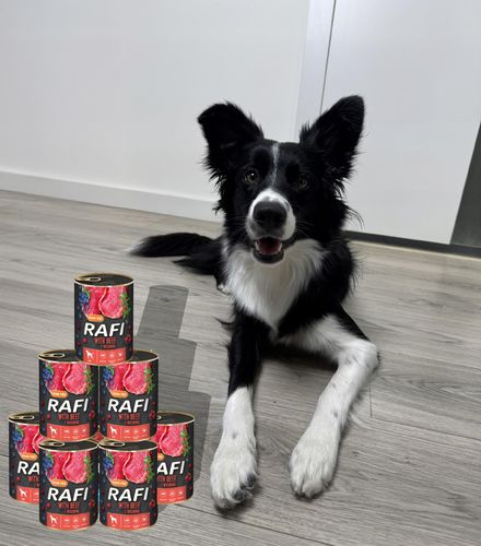 karma mokra dla psów rafi z wołowiną, borówką i żurawiną 400g - 1 szt. na Arena.pl