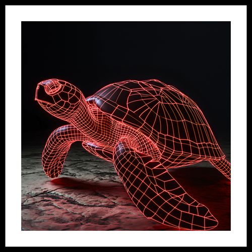 Plakat 40x40cm Neonowy Żółw na Arena.pl