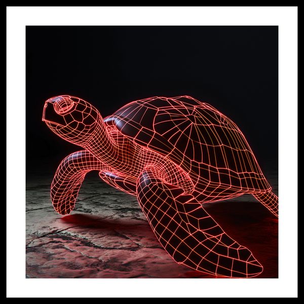 Plakat 40x40cm Neonowy Żółw zdjęcie 3