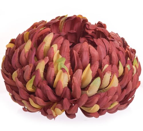 Chryzantema extra coffe na Arena.pl