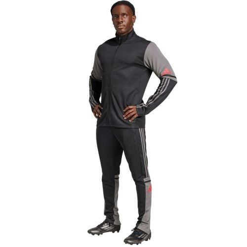 Bluza adidas Squadra 25 Training M JD1630 S na Arena.pl