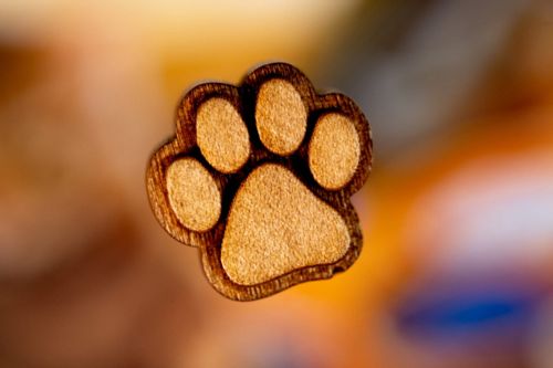 Gra Printing Press (PL) na Arena.pl