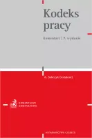 Kodeks pracy. Komentarz