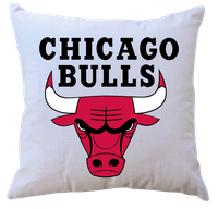 Poduszka z wkładem Chicago Bulls