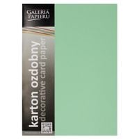 KARTON OZDOBNY GŁADKI ZIELONY SATYNOWANY 210G GALERIA PAPIERU