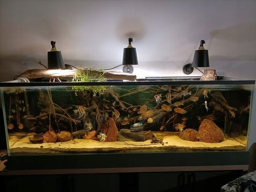 FOLIA CZARNA samoprzylepna TŁO do AKWARIUM 112 litrów 80x40 NA WYMIAR na Arena.pl