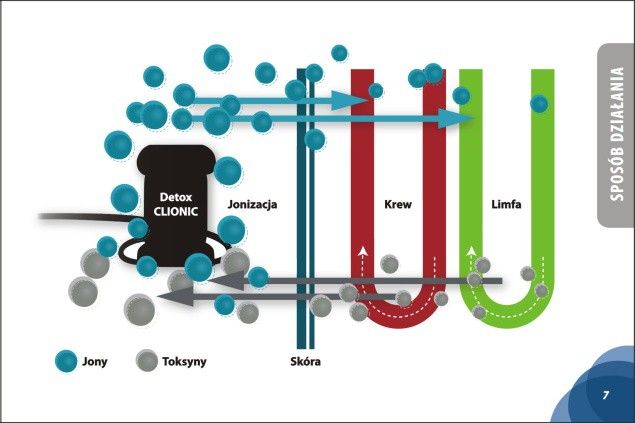 Body Detox urządzenie do oczyszczania organizmy zdjęcie 3