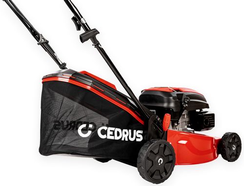 CEDRUS KS42S KOSIARKA SPALINOWA DO TRAWY Z NAPĘDEM CEDKS42S 42cm / 4,2KM - EWIMAX - OFICJALNY DYSTRYBUTOR - AUTORYZOWANY DEALER CEDRUS na Arena.pl