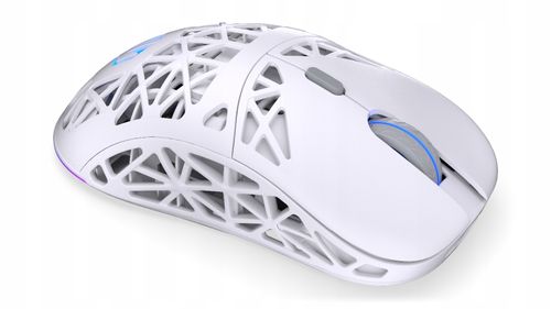 Myszka ENDORFY LIV Plus Wireless Onyx White na Arena.pl