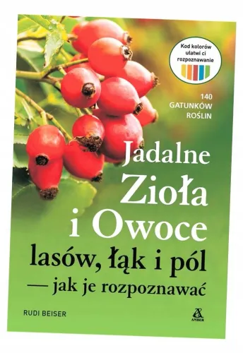 Jadalne zioła i owoce lasów, łąk i pól - jak je rozpoznawać na Arena.pl