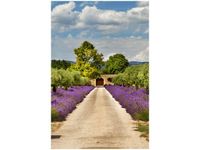 40X60CM DROGA PROWANSJI OBRAZ