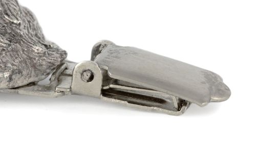 Norfolk Terrier - klips - 1578 na Arena.pl