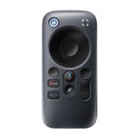 pilot rayneo pocket tv