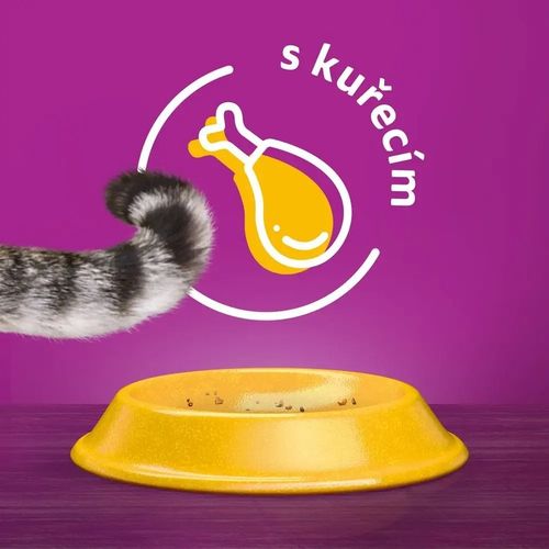 WHISKAS SUCHA KARMA DLA KOTÓW DOROSŁYCH KURCZAK 3,8 KG na Arena.pl