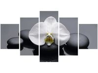 product-compare-58701040