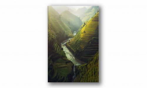 OBRAZ NA PŁÓTNIE 104 Uprawa ryżu 30x40cm na Arena.pl