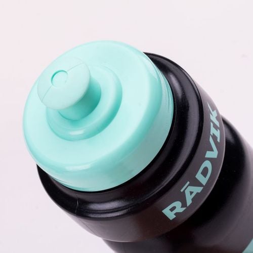 Bidon BIOBIDONIC 650 ML na Arena.pl