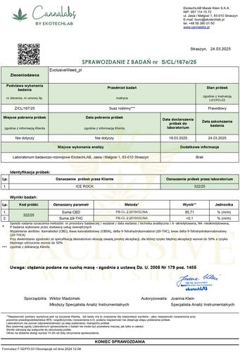 Susz konopny ICE ROCK CBD PREMIUM 500g na Arena.pl