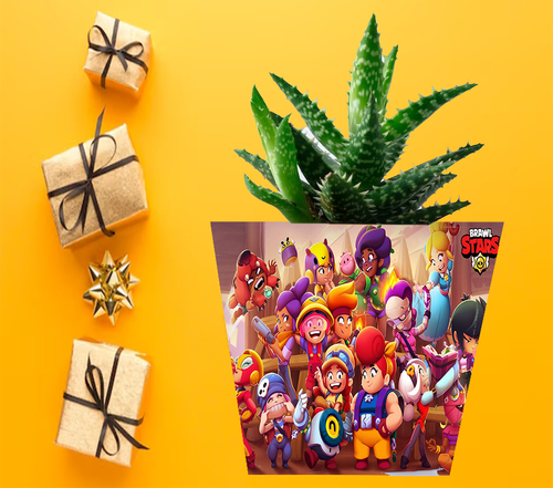 Doniczka do kwiatów - Brawl Stars na Arena.pl