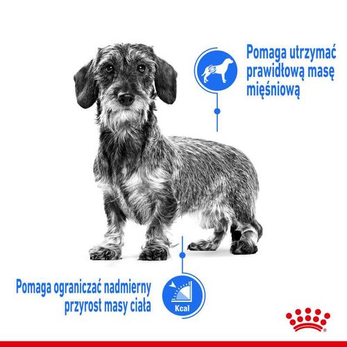 royal canin ccn mini light weight care 3kg na Arena.pl