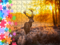 Puzzle tradycyjne Zwierzęta - Jeleń