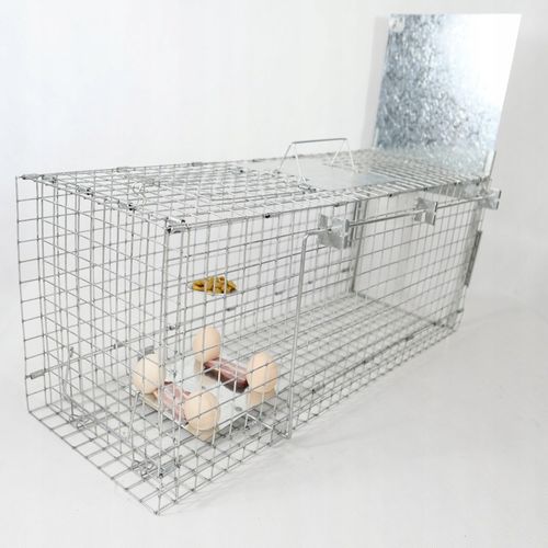 ŻYWOŁAPKA PUŁAPKA NA KUNY SZCZURY ŁASICE NORKI TCHÓRZE ŁASKI ŁAPKA na Arena.pl